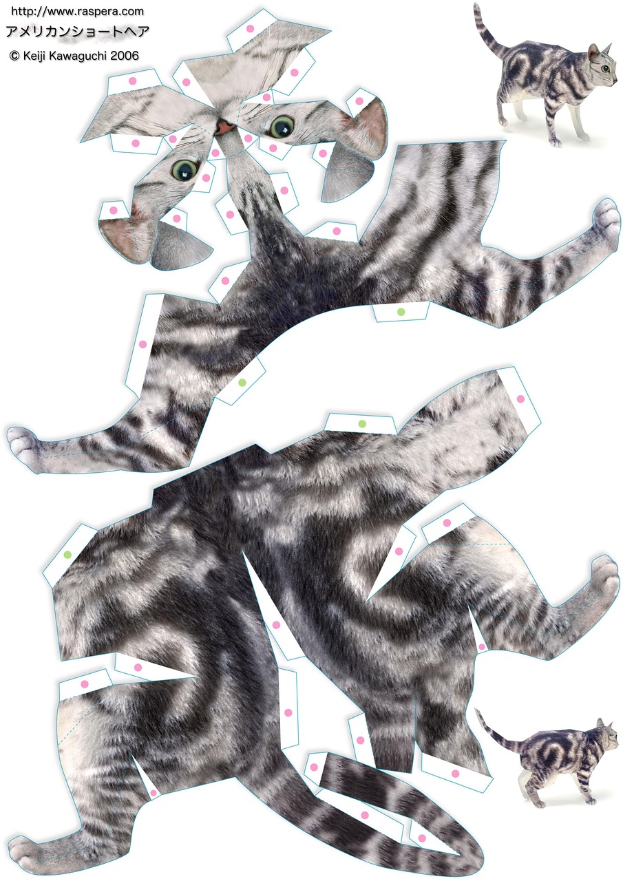 3d кот из бумаги схема - 87 фото