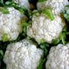 Calorie content of cauliflower: how to prepare delicious and low-calorie dishes?